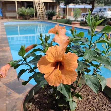 Kono Kono Guesthouse Northam المظهر الخارجي الصورة